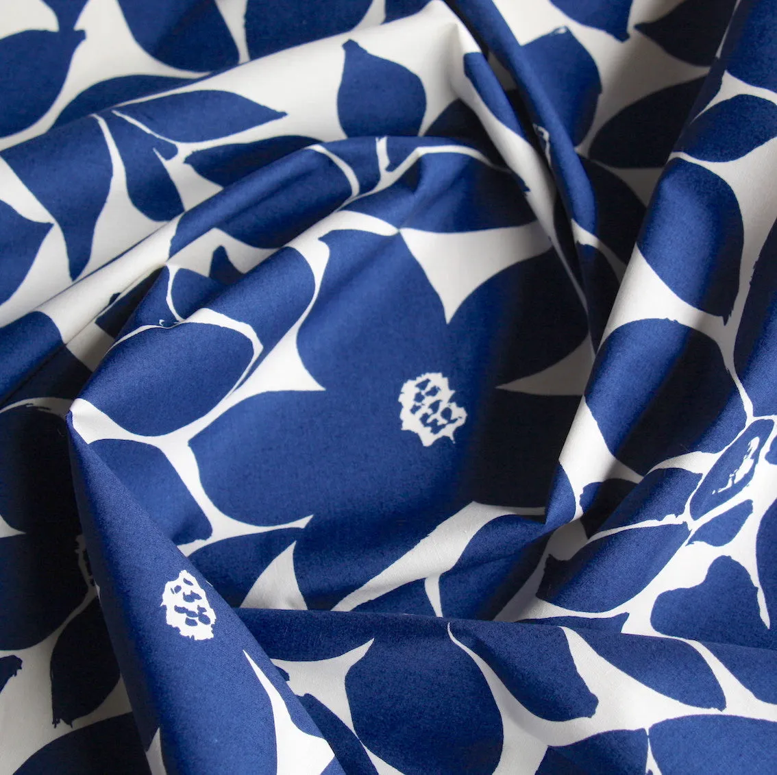 Blue White Floral Poplin
